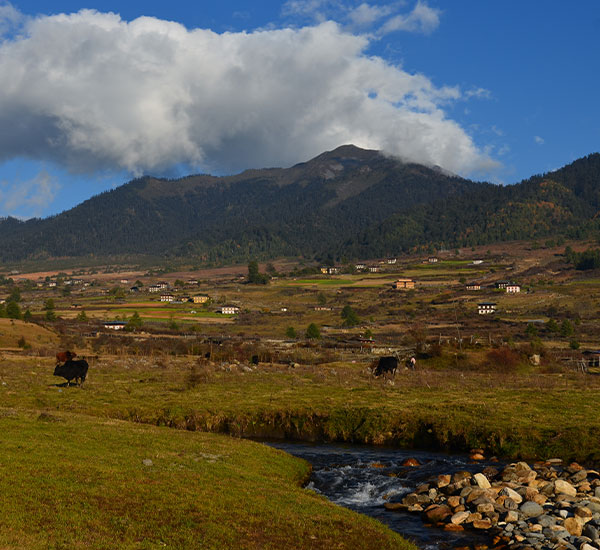 Bhutan Nature Lovers Tour