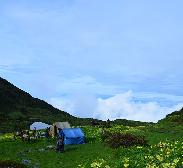 Druk Path Trek